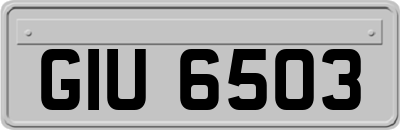 GIU6503