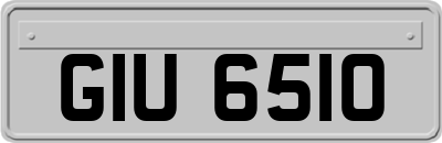 GIU6510