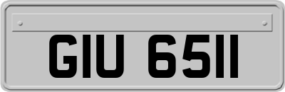 GIU6511