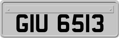 GIU6513