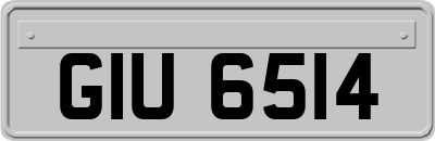 GIU6514