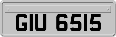 GIU6515