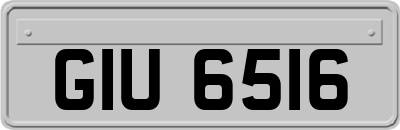 GIU6516