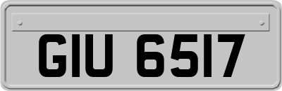 GIU6517