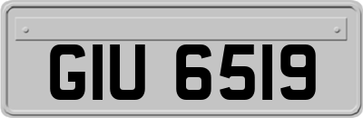 GIU6519