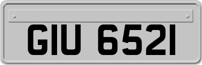 GIU6521