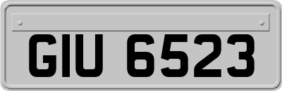 GIU6523