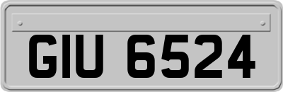 GIU6524