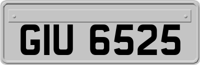 GIU6525