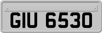 GIU6530