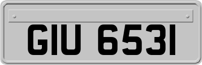 GIU6531