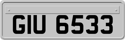 GIU6533