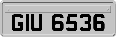 GIU6536