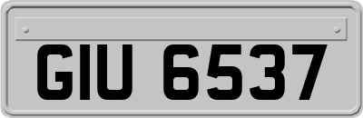 GIU6537