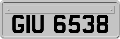 GIU6538