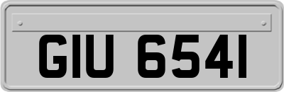 GIU6541
