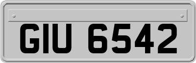 GIU6542