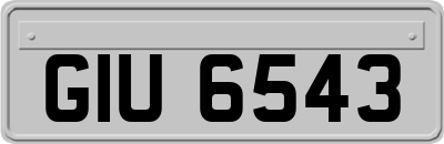 GIU6543