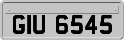 GIU6545