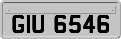 GIU6546