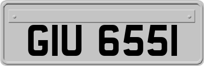GIU6551