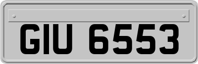 GIU6553