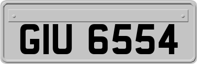 GIU6554