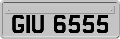 GIU6555