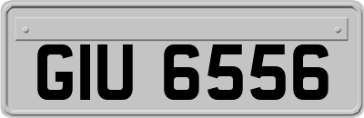 GIU6556