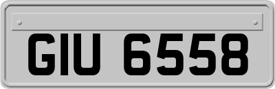 GIU6558