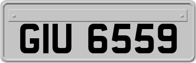 GIU6559