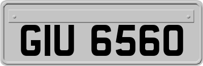 GIU6560