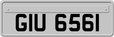 GIU6561