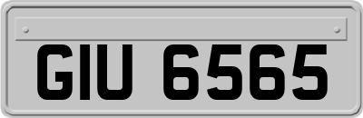 GIU6565