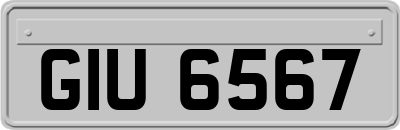 GIU6567