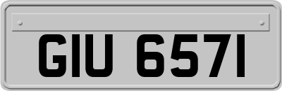 GIU6571