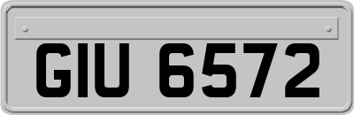 GIU6572
