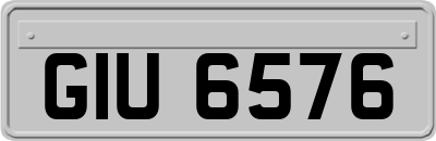 GIU6576