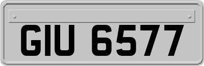 GIU6577