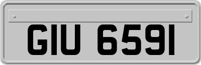 GIU6591