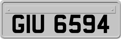 GIU6594