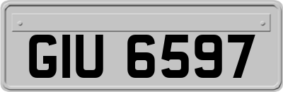 GIU6597