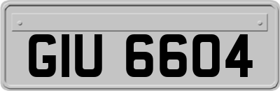 GIU6604