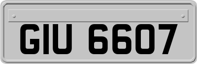 GIU6607