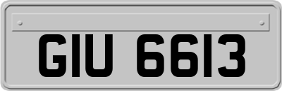 GIU6613