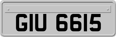 GIU6615