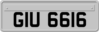 GIU6616