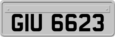 GIU6623