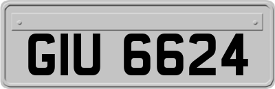 GIU6624