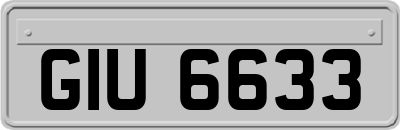 GIU6633